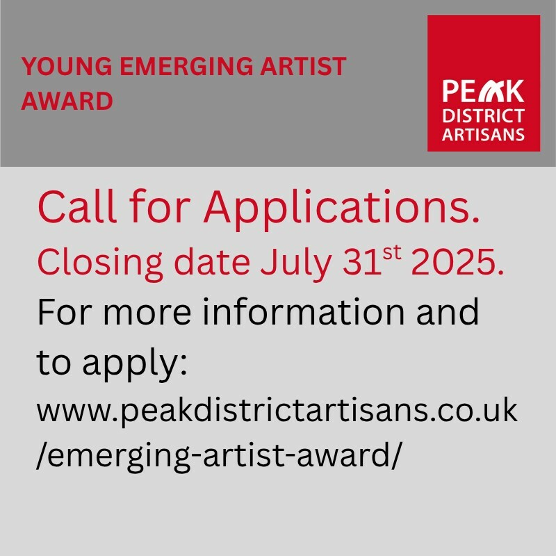 The Biennial PDA Emerging Artist Award Amanda